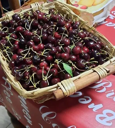 Farmház Ovosodo Con Memole